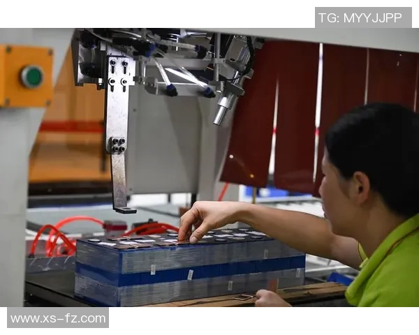 体坛退役潮趋势探讨